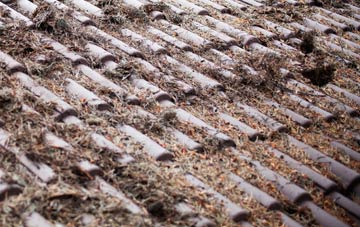 Loxter roof cleaning companies