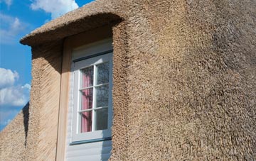 Loxter thatch roof disadvantages