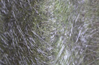 Loxter fibreglass roof work